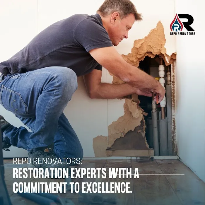 Repo Renovators Picture 7