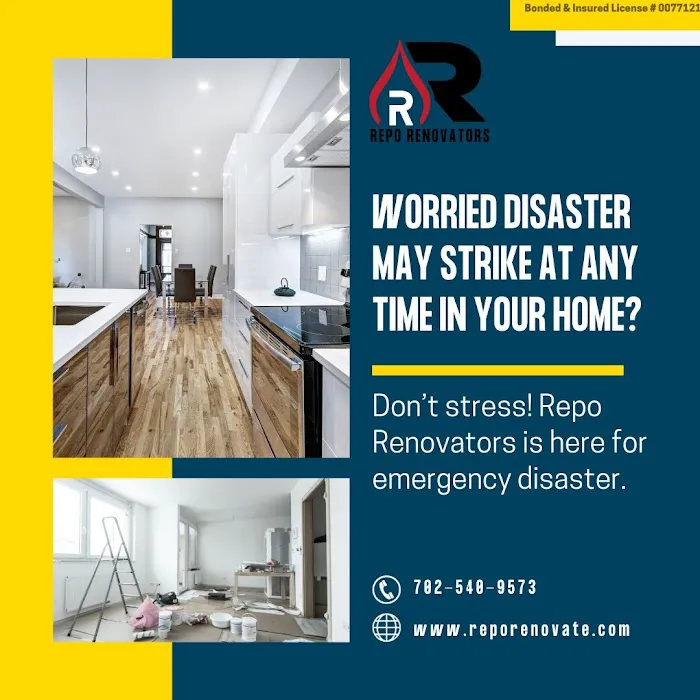 Repo Renovators Picture 4