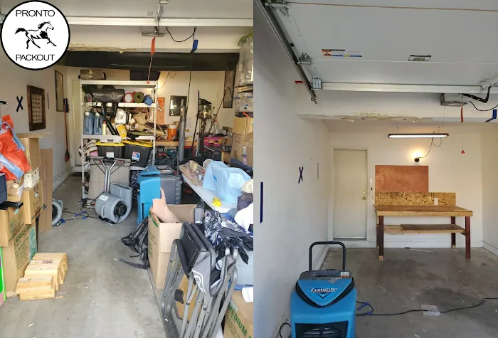 Pronto Pack Out Picture 3