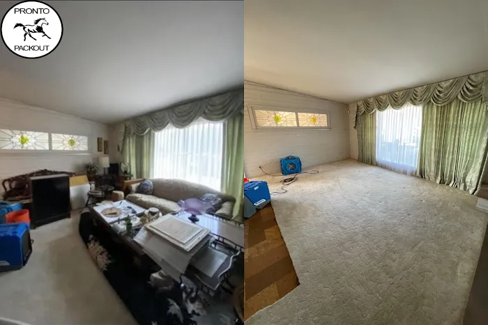 Pronto Pack Out Picture 4