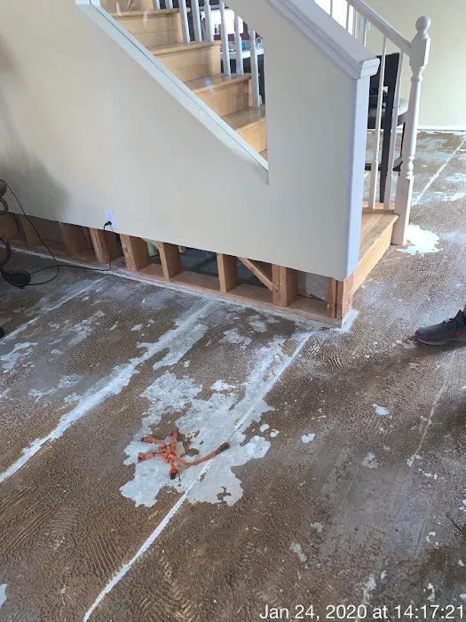 Las Vegas LLC Picture 5