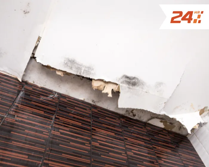 24 Hour Flood Pros of Las Vegas Picture 3