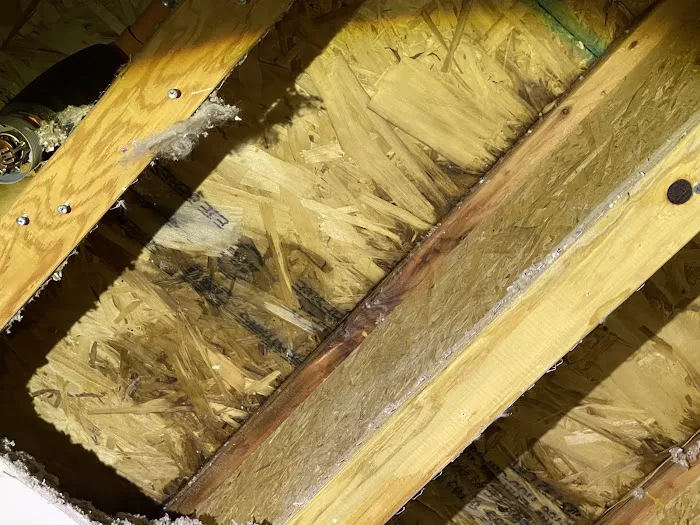 Absolute Flood Response | AFR Construction Picture 4