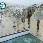 All Dry Services of Enterprise Las Vegas