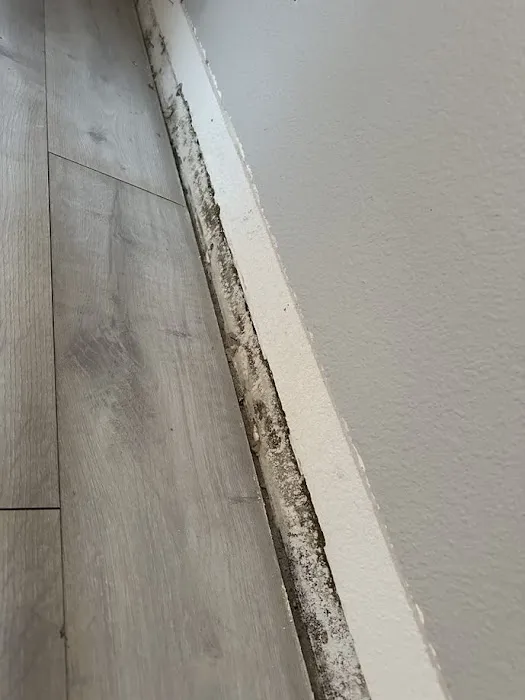 Ammco Restoration LLC Picture 1