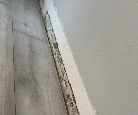 Ammco Restoration LLC