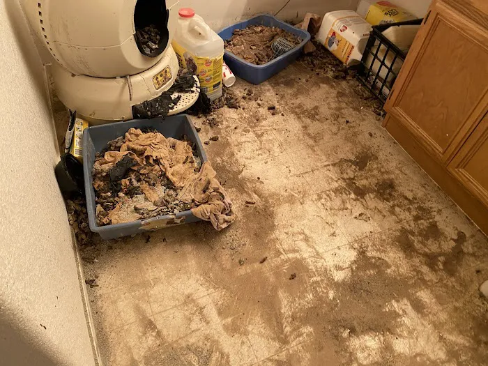 Pinnacle Restoration Picture 7