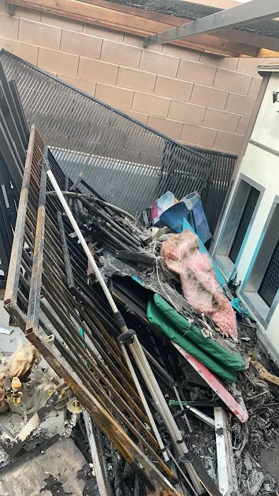 Carpet Care Picture 2