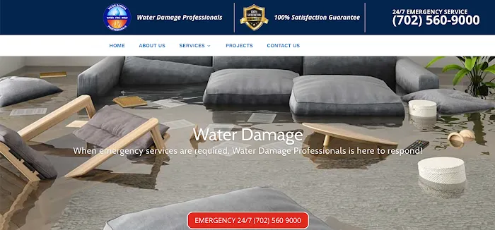 Water Damage Professionals Picture 4