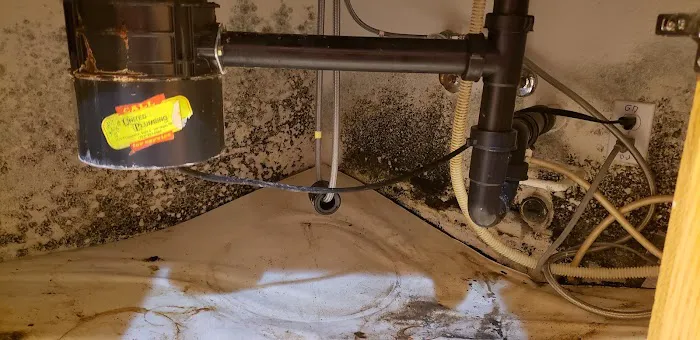 Water Damage Professionals Picture 1