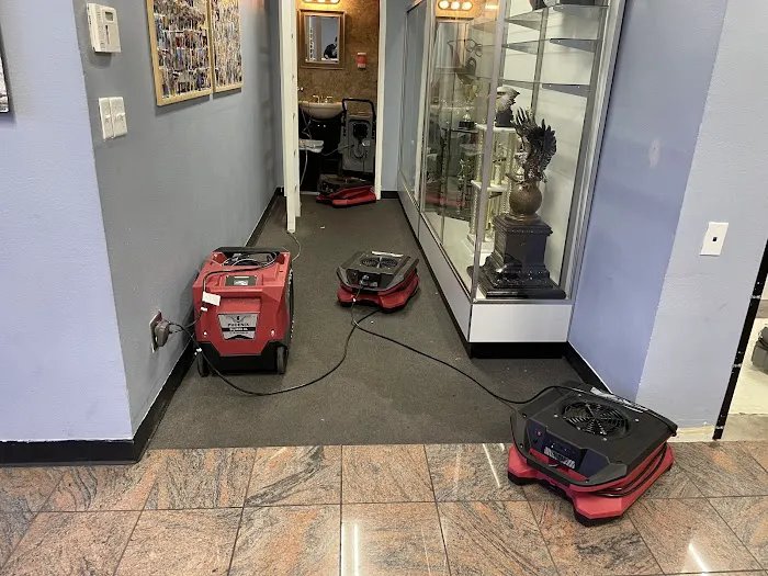 AMERICAN FLOOD RESPONSE, LLC Lic.0090864 Picture 1