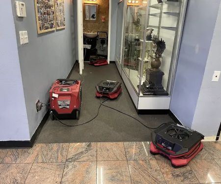 AMERICAN FLOOD RESPONSE, LLC Lic.0090864