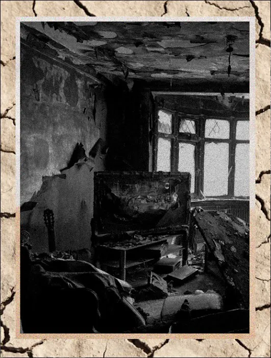 EcoDry Restoration® Picture 2