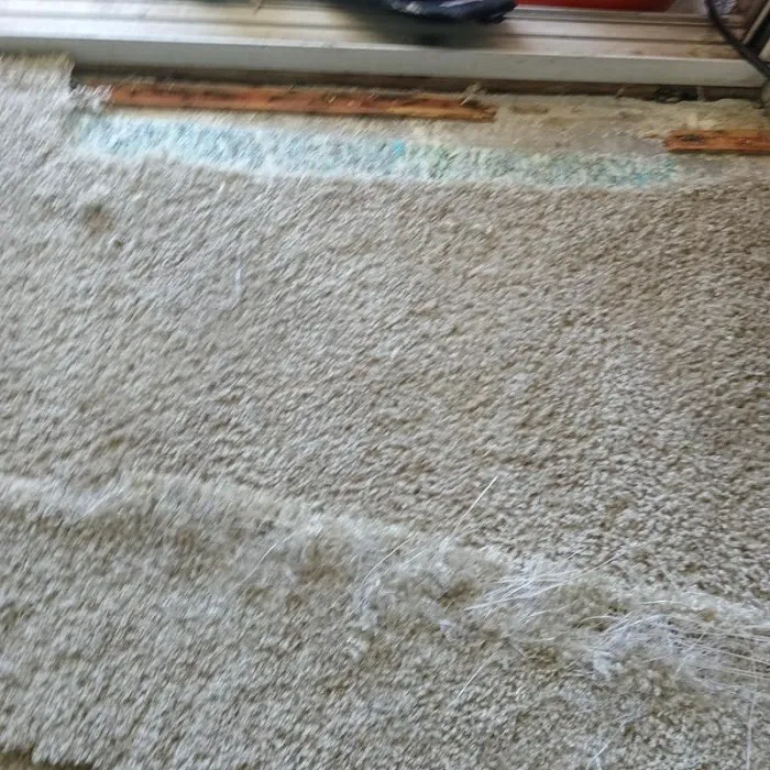 Immaculate Restoration Picture 4