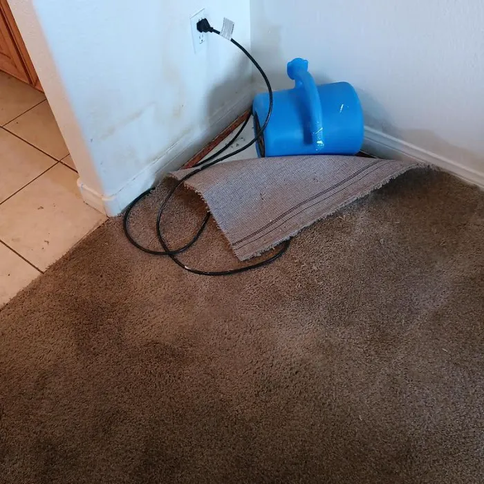 Immaculate Restoration Picture 5