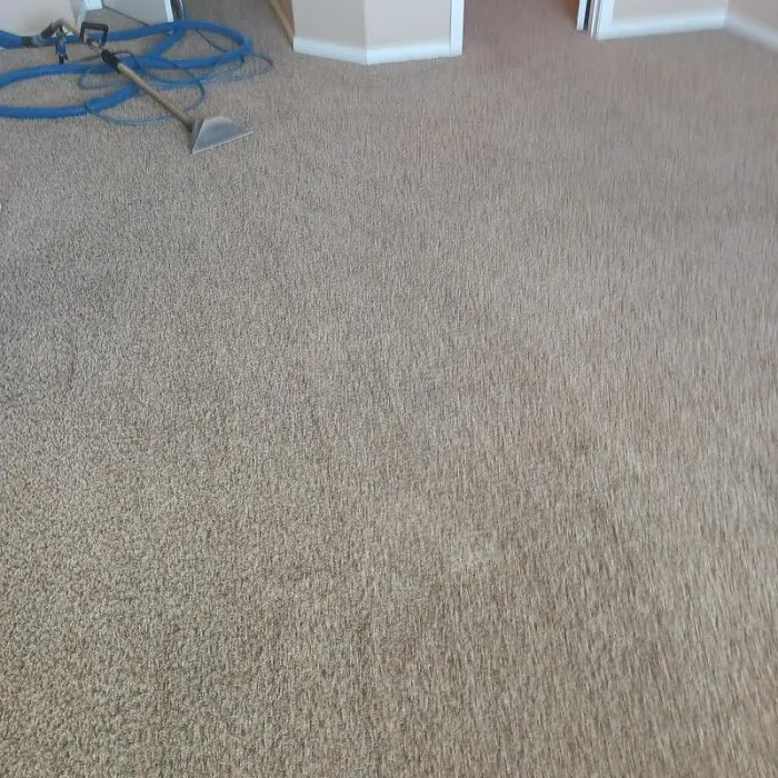 Immaculate Restoration Picture 2