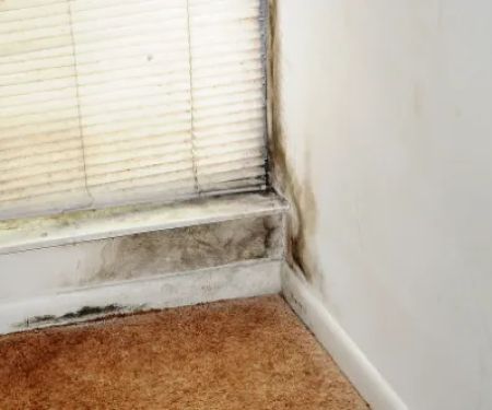 Asap Damage Restoration of Las Vegas