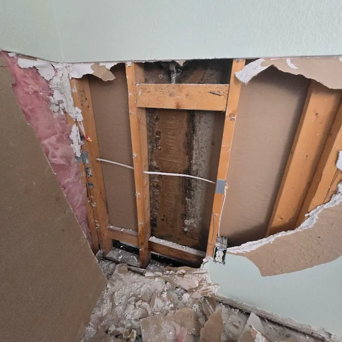 Life Savers Restoration Picture 3