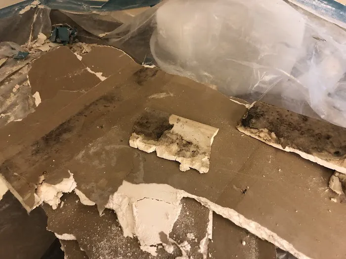 Life Savers Restoration Picture 9