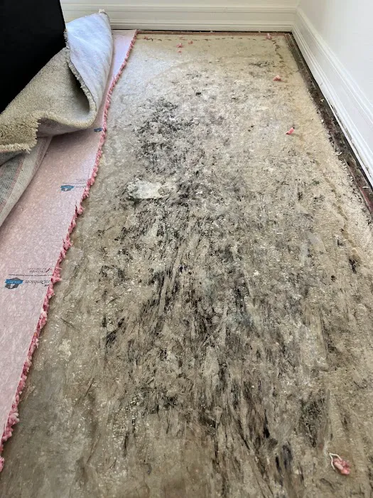 Life Savers Restoration Picture 4