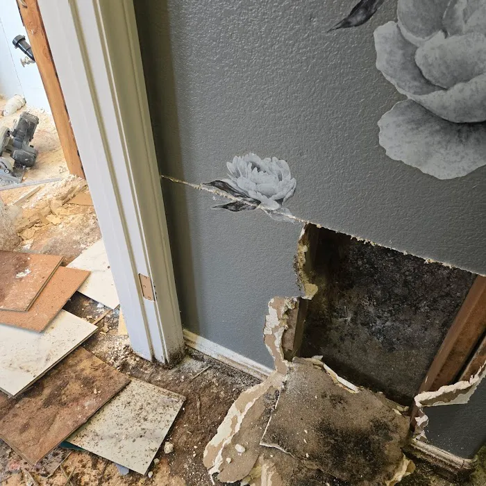 Life Savers Restoration Picture 6