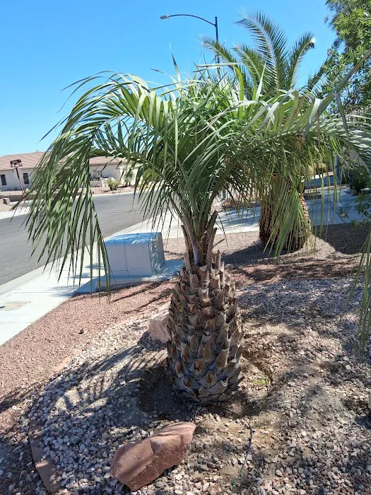 Ideal Services Picture 5