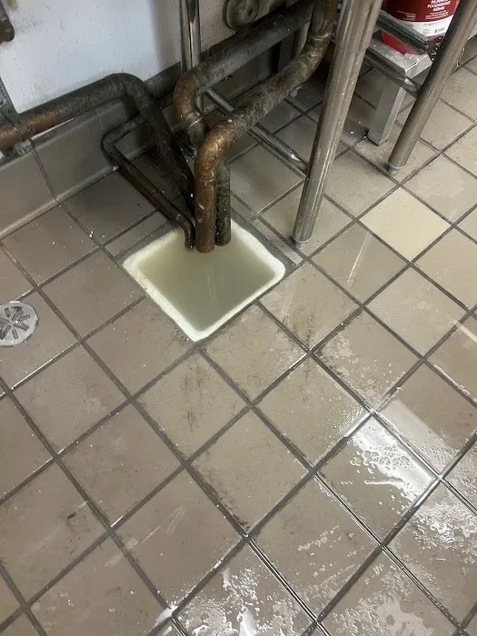 Ideal Services Picture 8