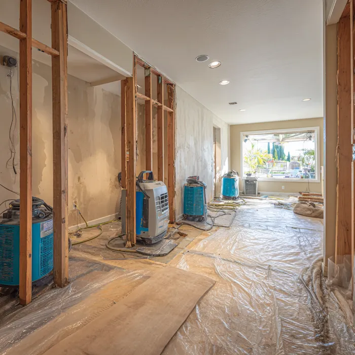 Mold Inspection & Removal Ninja Picture 2