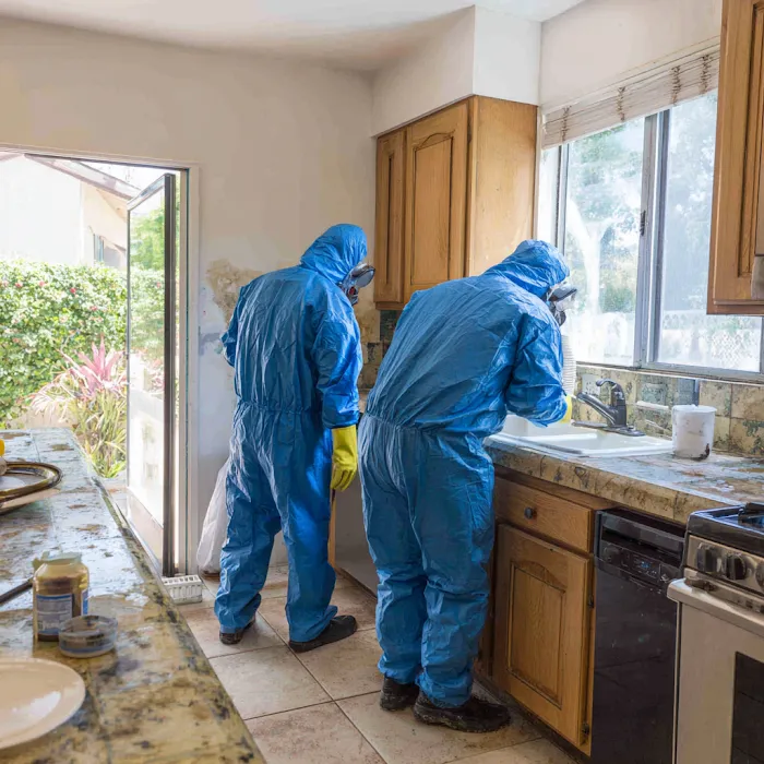 Mold Inspection & Removal Ninja Picture 6