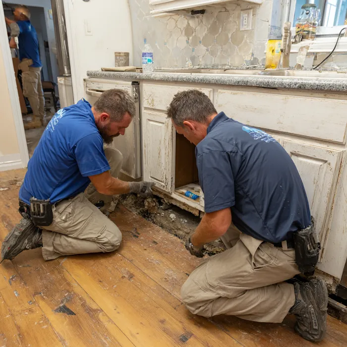 Mold Inspection & Removal Ninja Picture 3