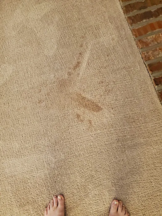 Stanley Steemer Picture 5