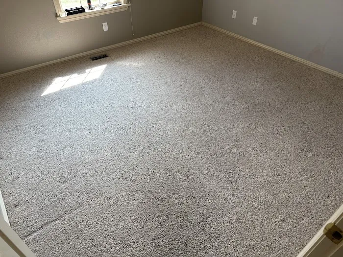 Stanley Steemer Picture 7