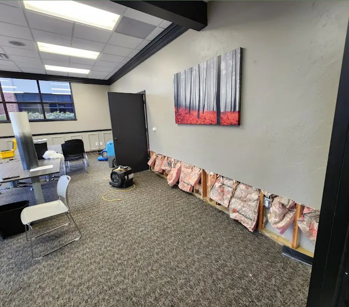 Ben Davis Restoration Picture 6