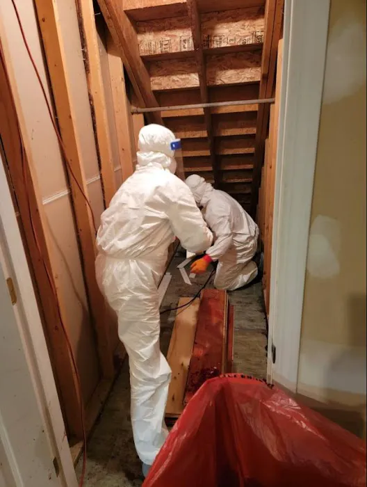 Ben Davis Restoration Picture 4