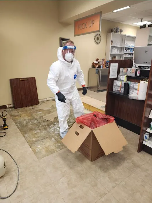 Ben Davis Restoration Picture 5