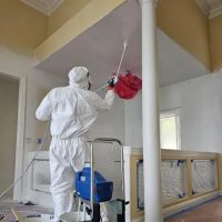 Ben Davis Restoration ico