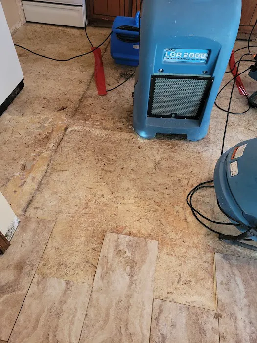 Mr. Power Clean Picture 8