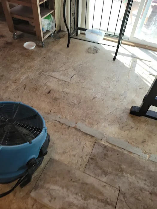 Mr. Power Clean Picture 7