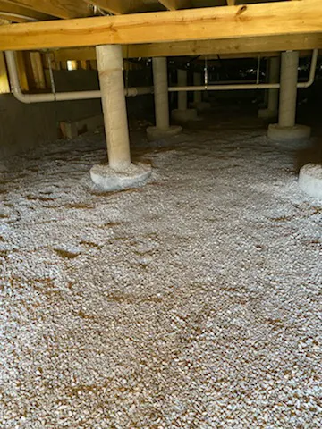 Certified Water and Mold Restoration - Springfield Mold + Water Damage Specialists Picture 2