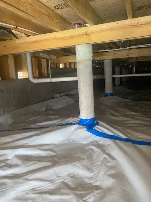 Certified Water and Mold Restoration - Springfield Mold + Water Damage Specialists Picture 1