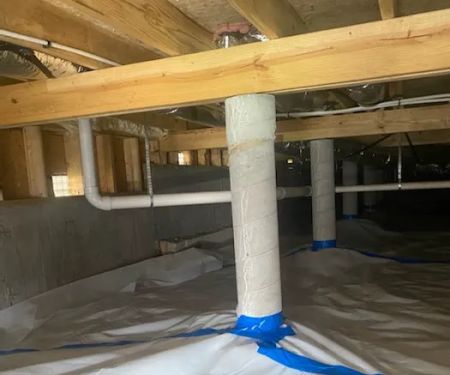 Certified Water and Mold Restoration - Springfield Mold + Water Damage Specialists