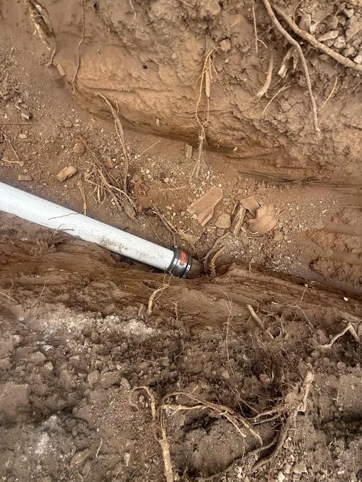 Roto-Rooter Plumbing and Water Cleanup Picture 7