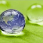 Environmental Services Provider