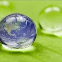 Environmental Services Provider ico