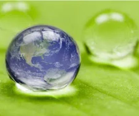 Environmental Services Provider