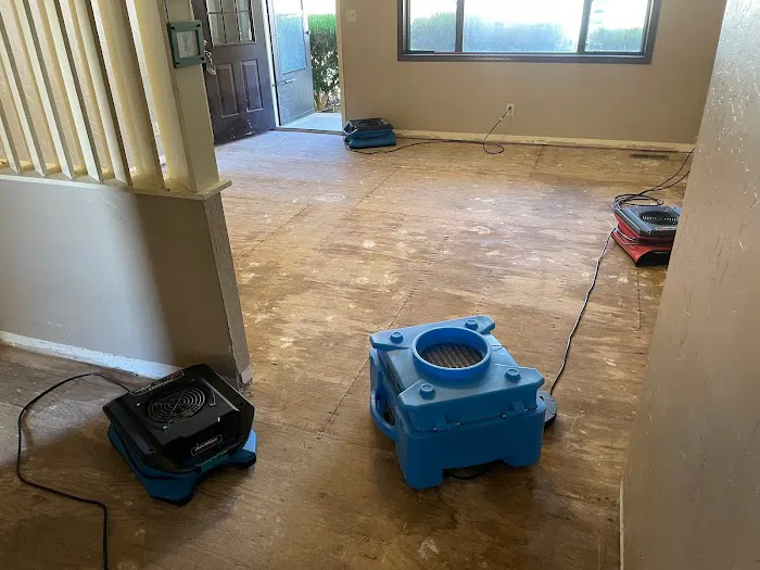 Clean Green Restoration Picture 7