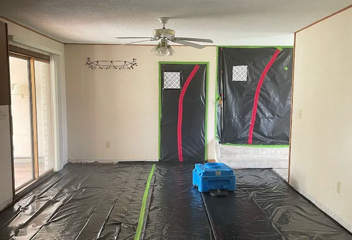 Clean Green Restoration Picture 4