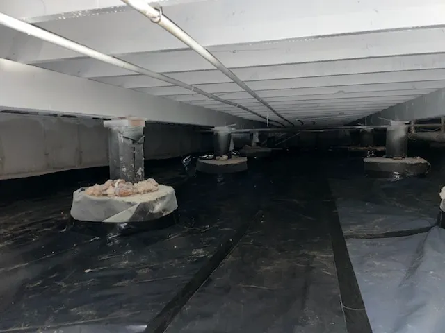 Clean Green Restoration Picture 5