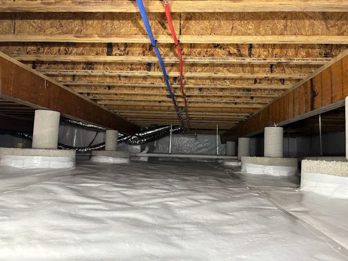 Clean Green Restoration Picture 10