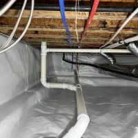 Clean Green Restoration ico